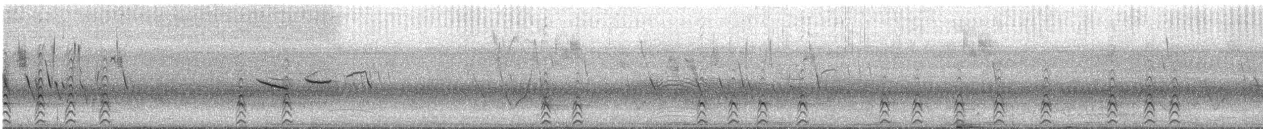 Black-necked Stilt - ML648794599