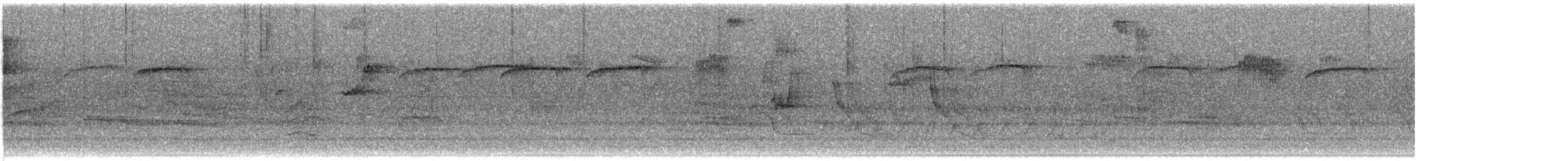 brkoslav americký - ML648795539