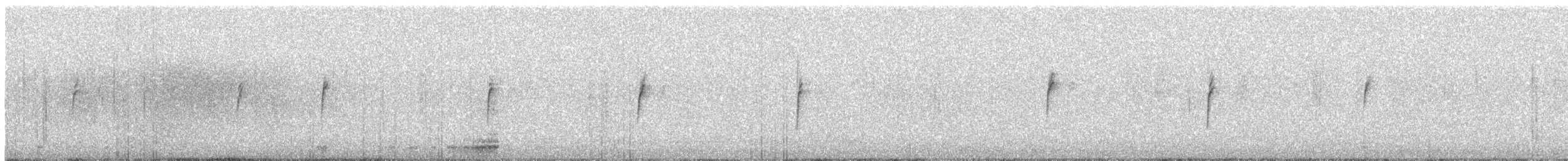 White-crowned Sparrow - ML648799144