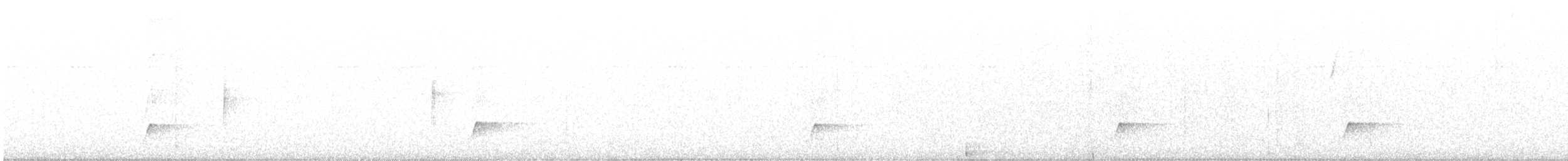 Brown-crested Flycatcher - ML648800796