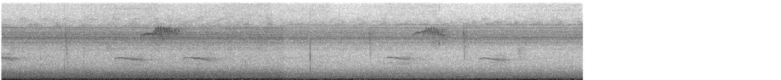 brkoslav americký - ML648802048