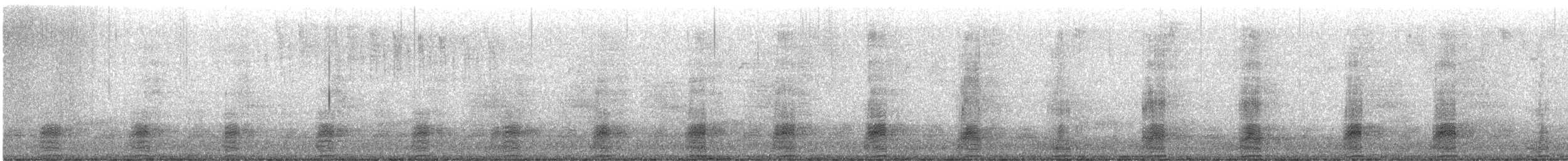 綠頭鴨 - ML648802252