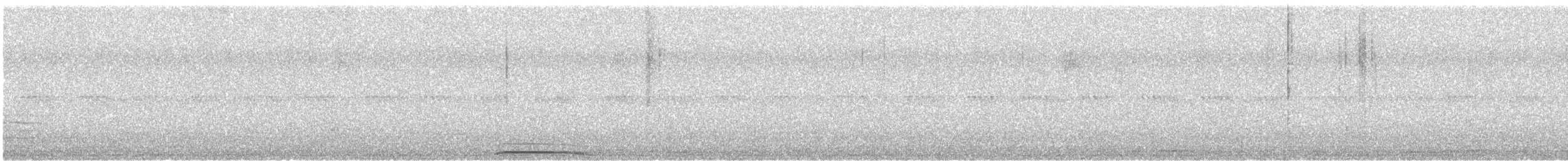 Tawny Owl (Maghreb) - ML648802486