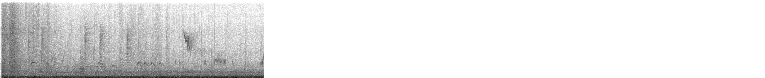 Curve-billed Thrasher - ML648803419