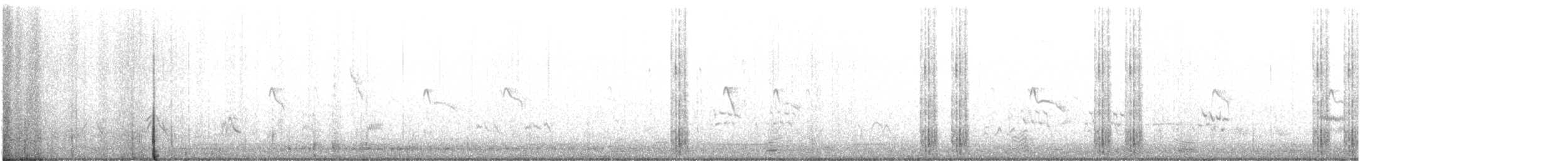 Black Phoebe - ML648803463