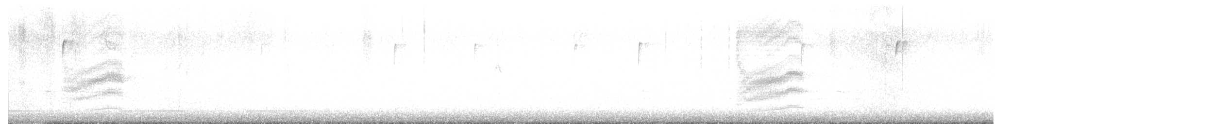 Тауї плямистий - ML648804427