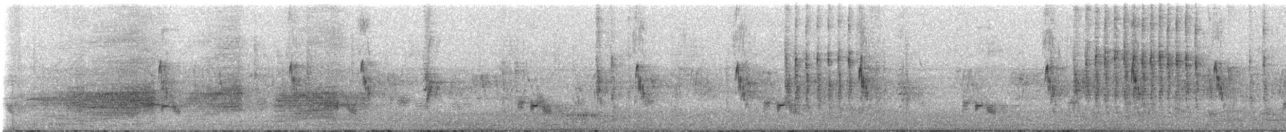 Майна індійська - ML648804843