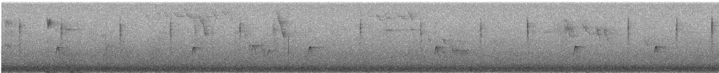 Піві великий - ML648805022