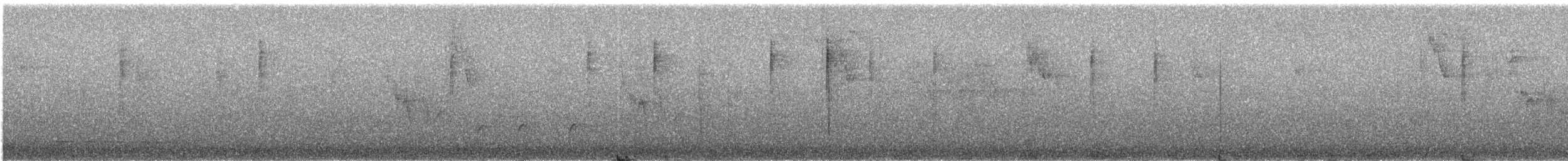 Піві великий - ML648805023