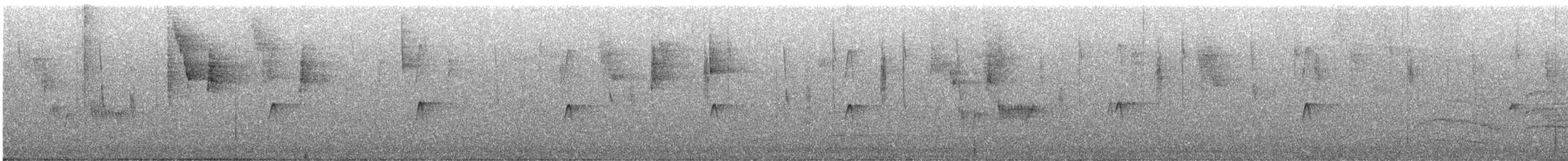 Піві великий - ML648805029