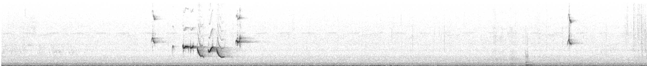 White-plumed Honeyeater - ML648805172