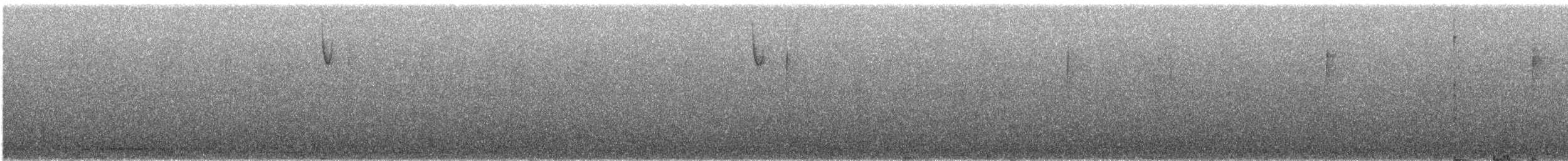 Yellow-eyed Junco - ML648805210