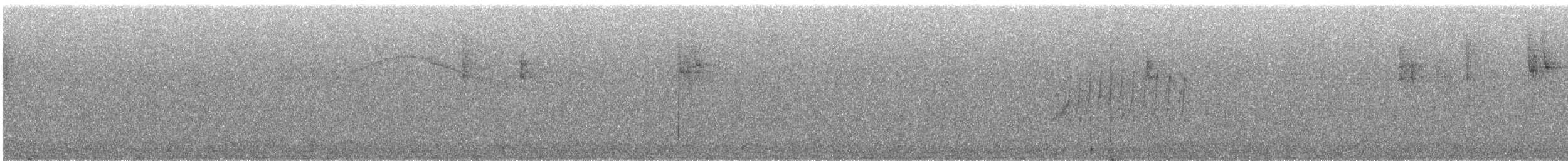 Bumblebee Hummingbird - ML648805232