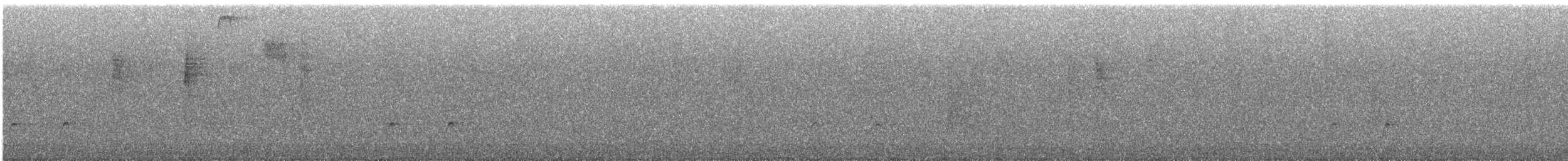 Greater Pewee - ML648805235