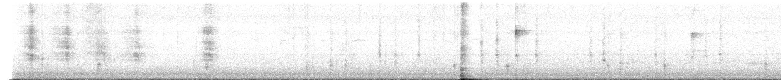 Boat-tailed Grackle - ML648805668