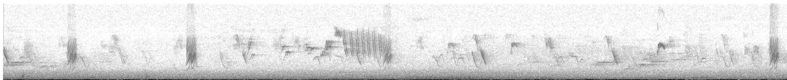 smalstripesvale - ML648807470