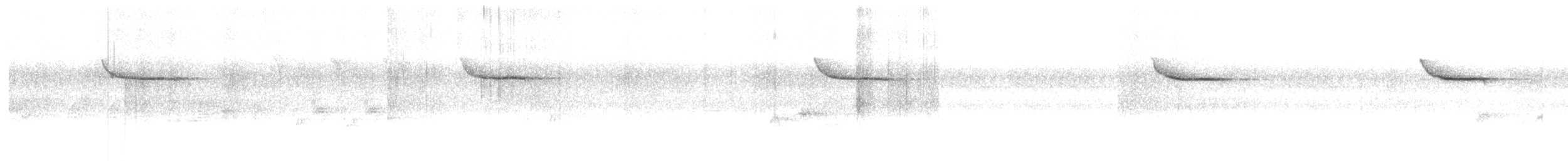 White-crowned Forktail (Northern) - ML648808438