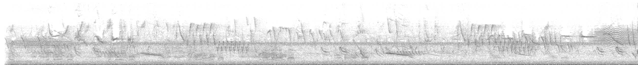 Chaco Chachalaca - ML648812967