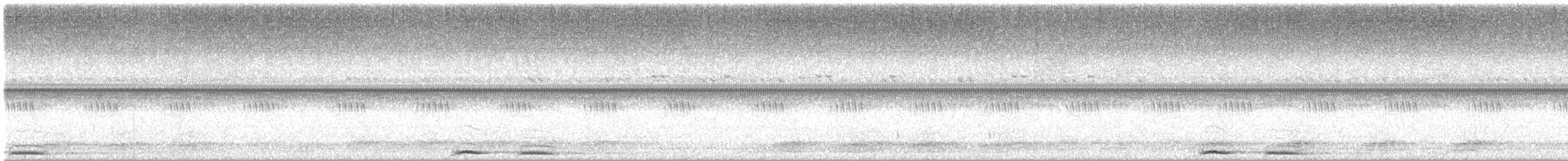 Australian Boobook (Boobook) - ML648813146