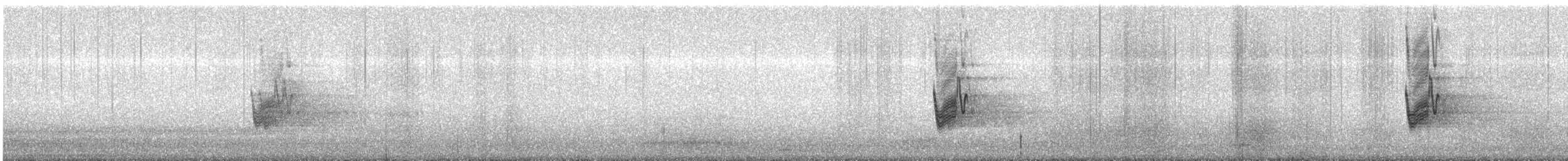 Savanna Nightjar - ML648813220