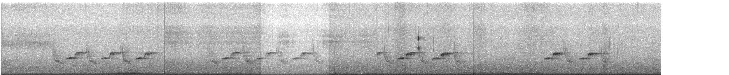 Carolina Wren - ML648813431