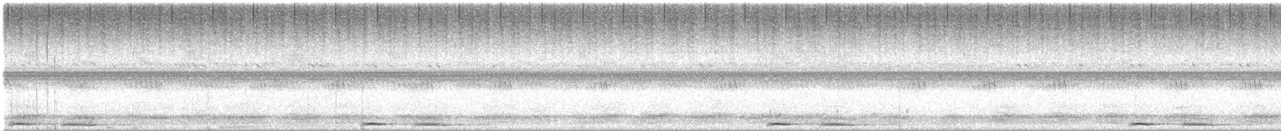 Australian Boobook (Boobook) - ML648813441