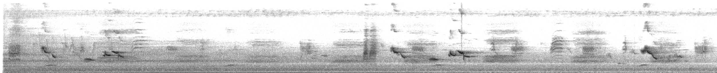 דרונגו שחור - ML648813454