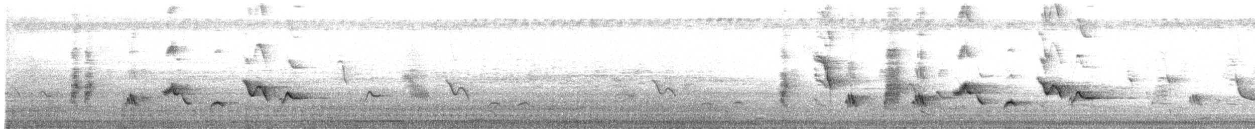 דרונגו שחור - ML648813455