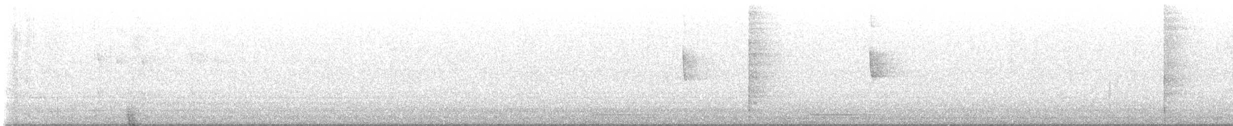 סבכון שחור-ראש - ML648813483