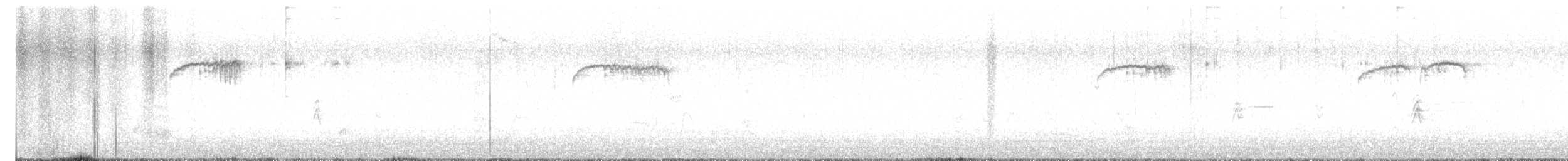 brkoslav americký - ML648820123