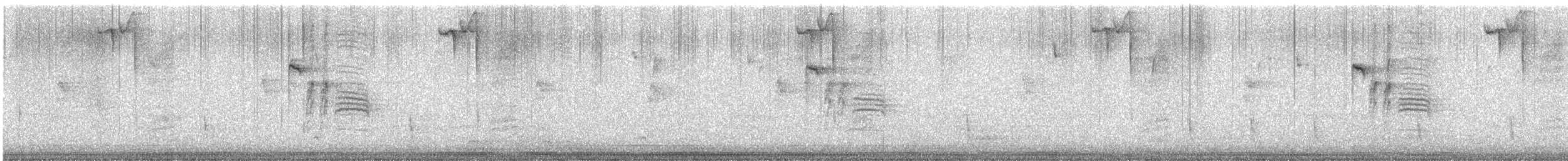 Каролинская гаичка - ML648825688