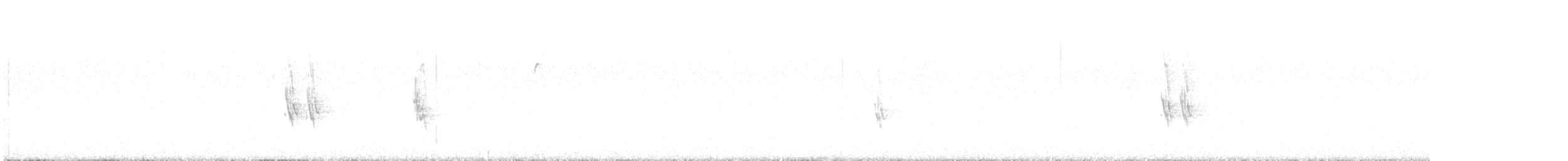 תפוחית שחורת-סנטר - ML648829851