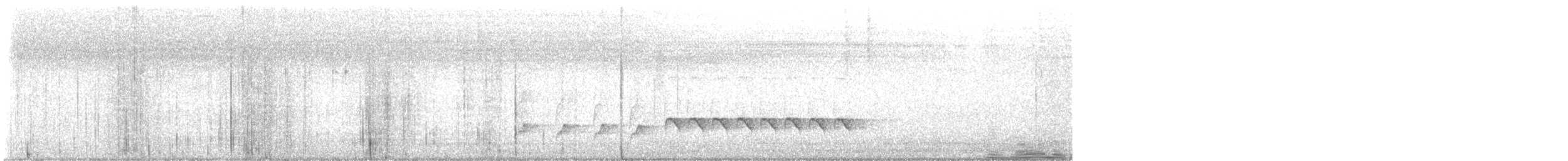 Microbate à long bec - ML648830502