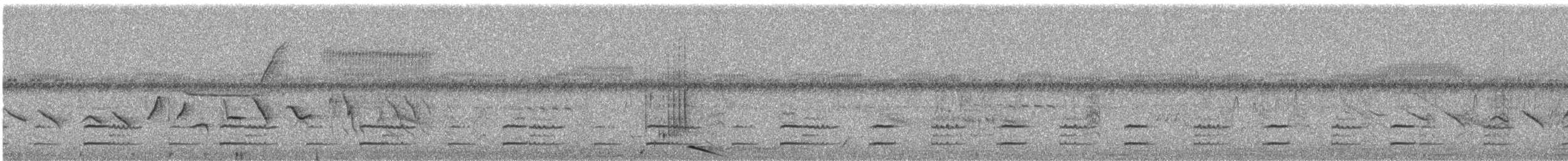 Chestnut-bellied Seed-Finch - ML648830875