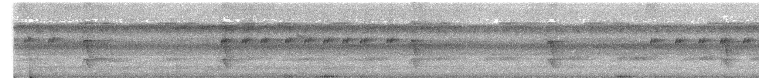 Silberkopf-Spatelschnabeltyrann - ML648833675