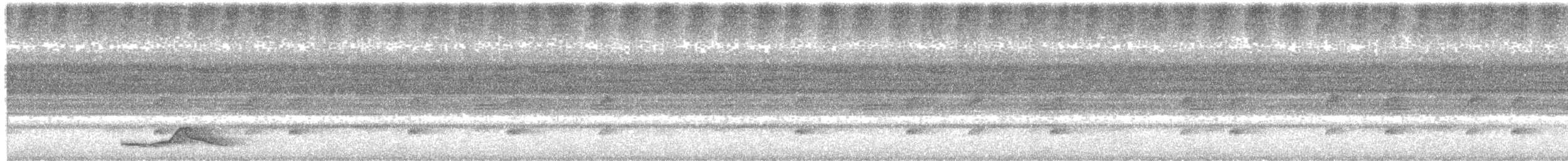 Pauraquenachtschwalbe - ML648834558