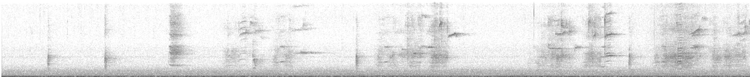 Common Grackle - ML648854771