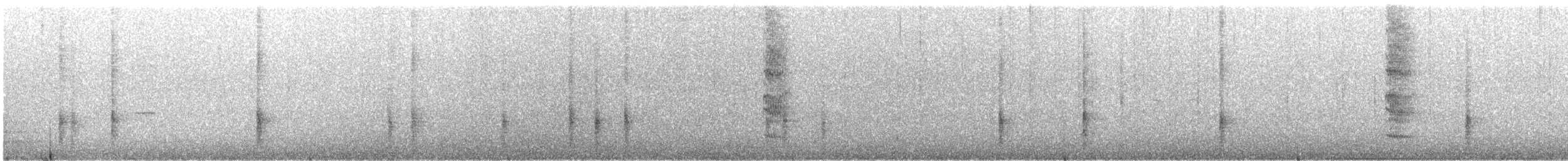 Common Grackle - ML648854777