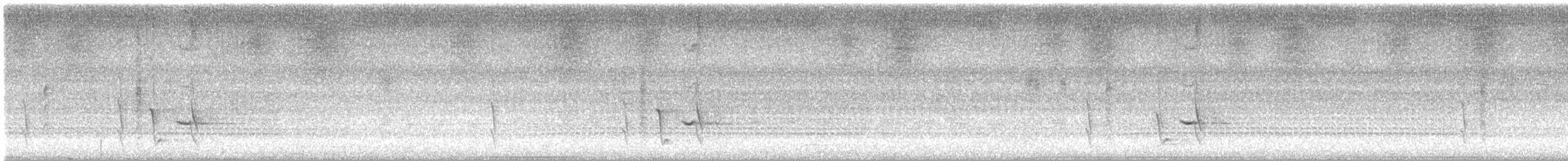 Weißwangen-Honigfresser - ML648856060