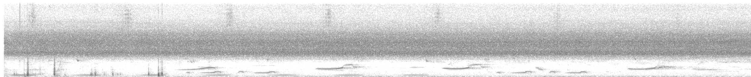 Painted Buttonquail - ML648857563