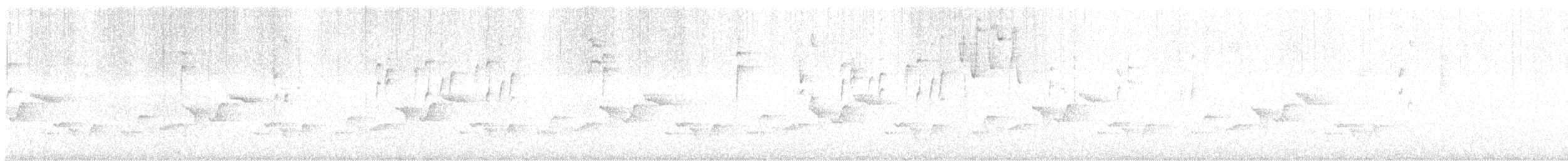 Einsiedlerzaunkönig - ML648857964