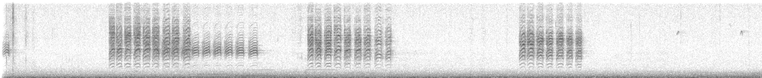 Каролинская гаичка - ML648858189