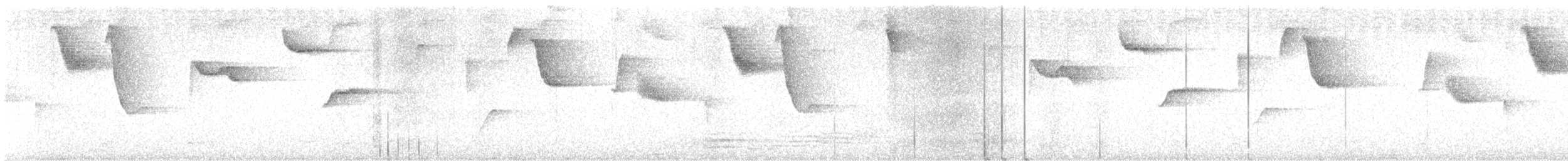 Schmalschnabel-Buschammer - ML648858206