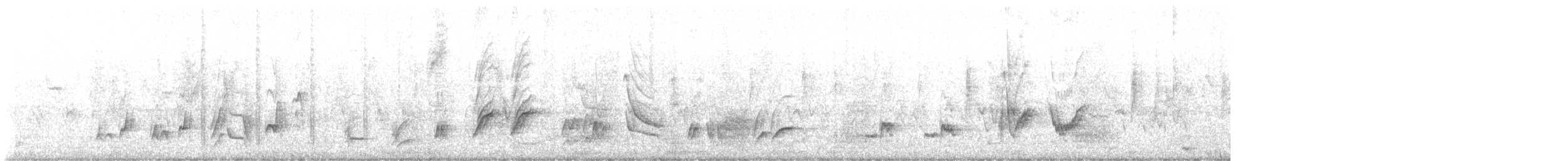 Curve-billed Thrasher - ML648858690