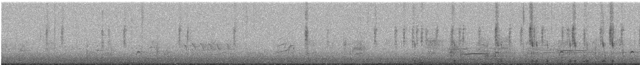 Northern Shoveler - ML648859184