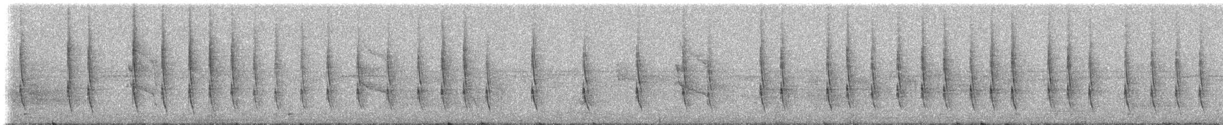 Wedge-tailed Sabrewing (Wedge-tailed) - ML648861243