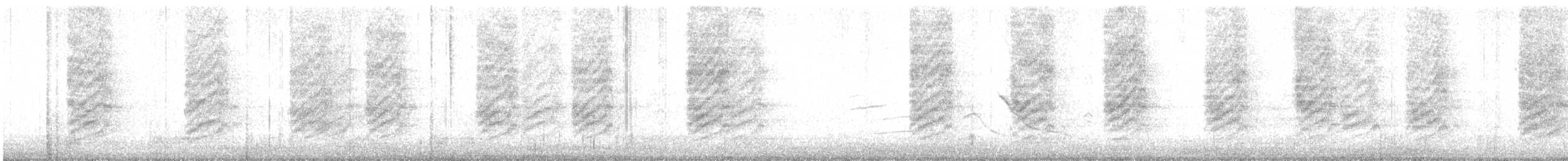 Сойка каліфорнійська - ML648861422