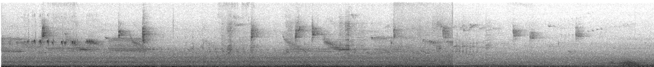 Смугастоволець річковий - ML648861530