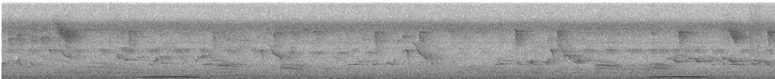 Пінон малазійський - ML648861889