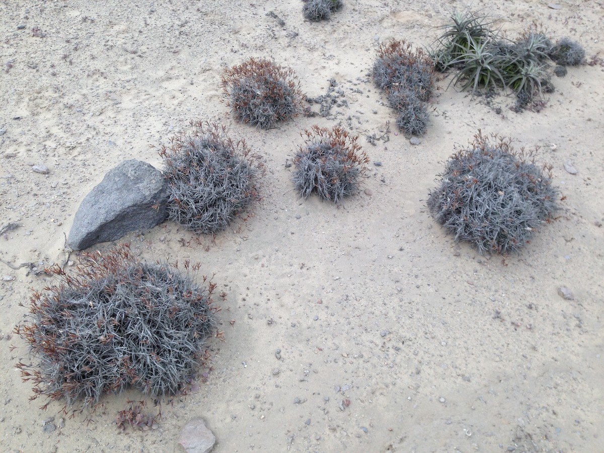 Not specified - Michael Jordan